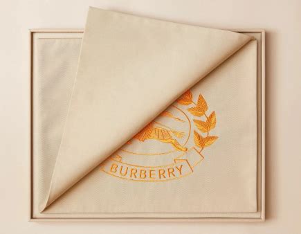 burberry plc sustainable development.